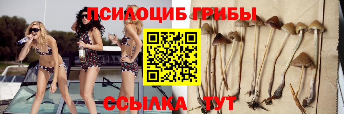 Галлюциногенные грибы GOLDEN TEACHER Москва