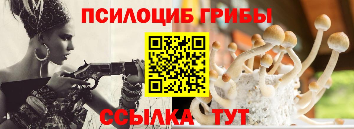 Галлюциногенные грибы MAGIC MUSHROOMS  Вход с VPN  Москва 